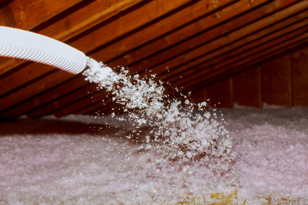 Best Residential Insulation in Twin Lakes, NM